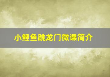 小鲤鱼跳龙门微课简介