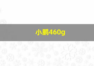 小鹏460g