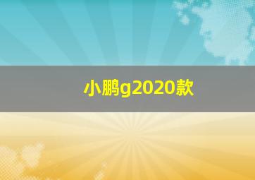 小鹏g2020款