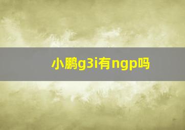 小鹏g3i有ngp吗