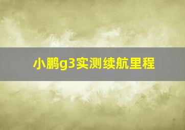 小鹏g3实测续航里程