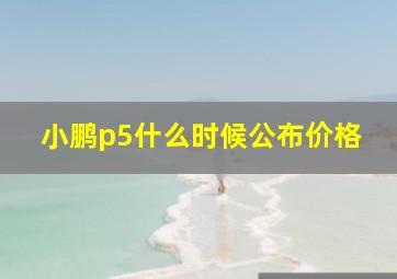 小鹏p5什么时候公布价格