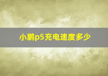 小鹏p5充电速度多少