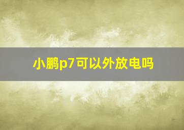 小鹏p7可以外放电吗