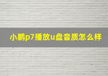 小鹏p7播放u盘音质怎么样