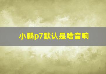 小鹏p7默认是啥音响