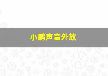 小鹏声音外放