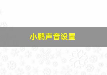 小鹏声音设置