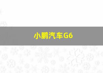 小鹏汽车G6