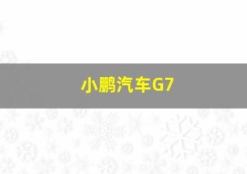 小鹏汽车G7