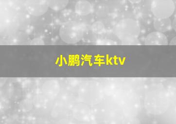 小鹏汽车ktv