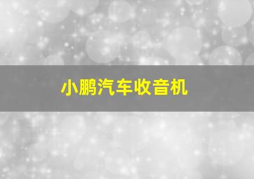 小鹏汽车收音机