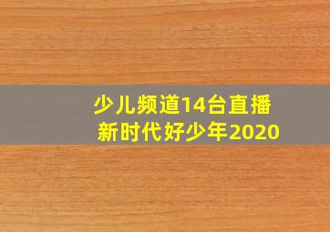 少儿频道14台直播新时代好少年2020