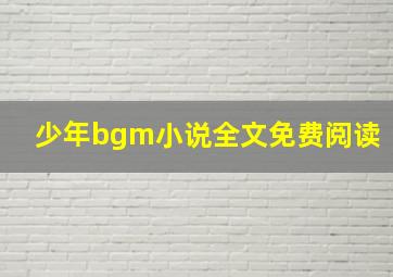 少年bgm小说全文免费阅读