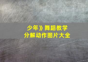 少年》舞蹈教学分解动作图片大全