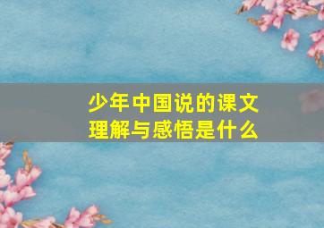 少年中国说的课文理解与感悟是什么