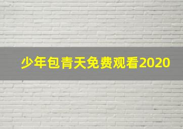 少年包青天免费观看2020