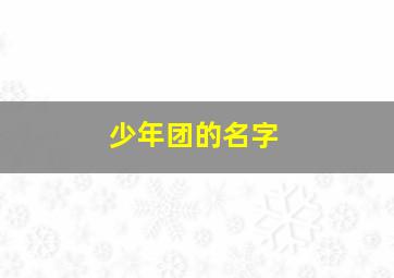 少年团的名字