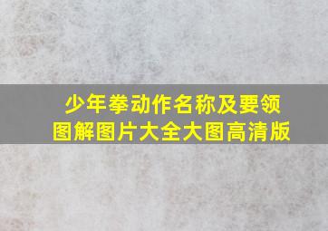 少年拳动作名称及要领图解图片大全大图高清版