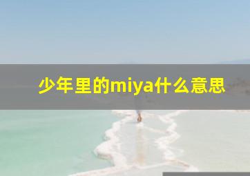 少年里的miya什么意思