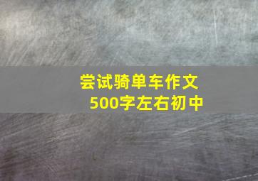 尝试骑单车作文500字左右初中