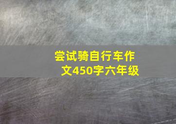 尝试骑自行车作文450字六年级