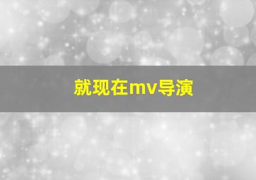 就现在mv导演