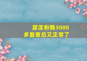 尿淀粉酶3000多复查后又正常了