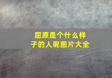 屈原是个什么样子的人呢图片大全