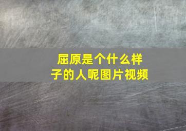 屈原是个什么样子的人呢图片视频