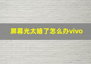 屏幕光太暗了怎么办vivo