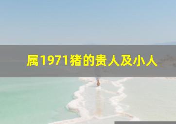 属1971猪的贵人及小人