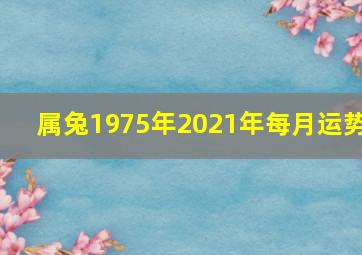 属兔1975年2021年每月运势