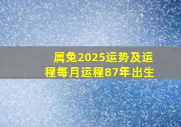 属兔2025运势及运程每月运程87年出生