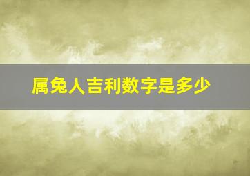 属兔人吉利数字是多少