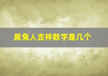 属兔人吉祥数字是几个