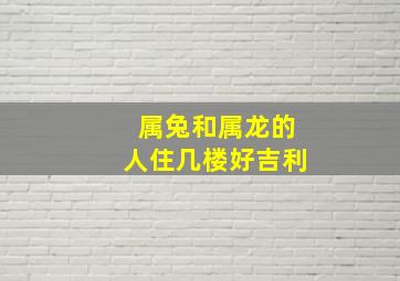 属兔和属龙的人住几楼好吉利