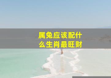 属兔应该配什么生肖最旺财