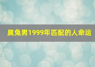 属兔男1999年匹配的人命运