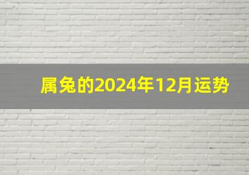 属兔的2024年12月运势