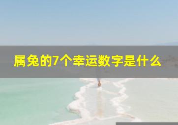 属兔的7个幸运数字是什么