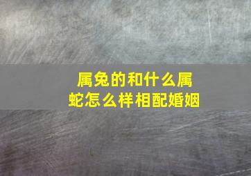 属兔的和什么属蛇怎么样相配婚姻