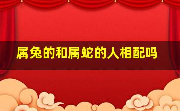 属兔的和属蛇的人相配吗