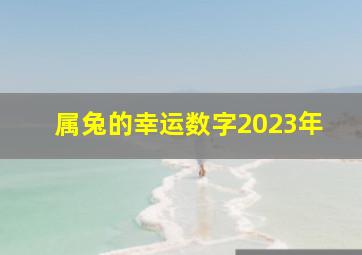 属兔的幸运数字2023年