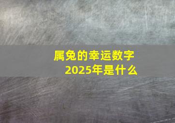 属兔的幸运数字2025年是什么