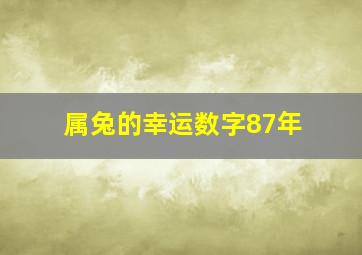 属兔的幸运数字87年