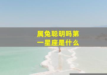 属兔聪明吗第一星座是什么