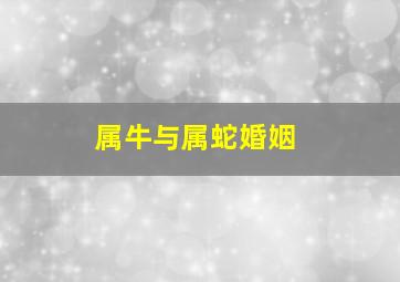 属牛与属蛇婚姻