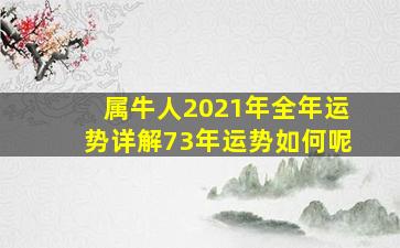 属牛人2021年全年运势详解73年运势如何呢