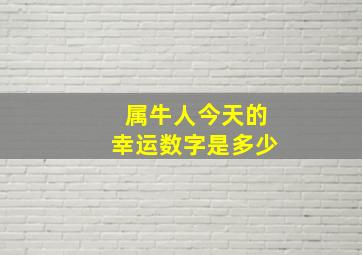 属牛人今天的幸运数字是多少